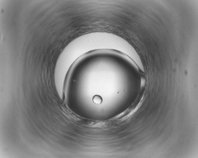X0000087510186200705111950