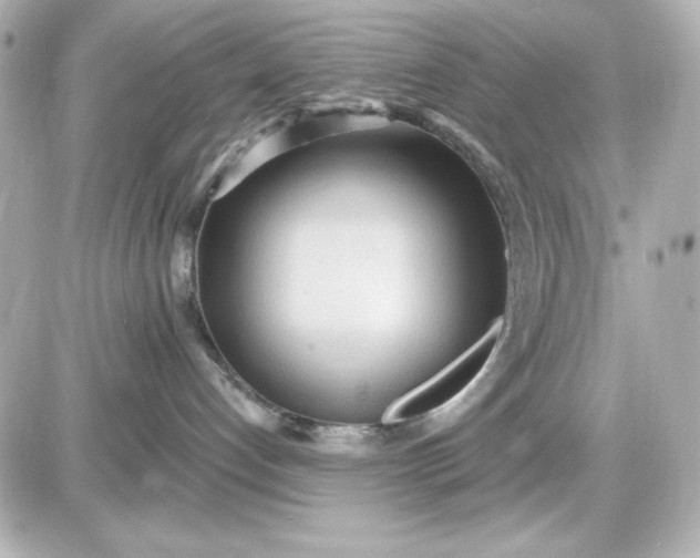 X0000087510192200705111950