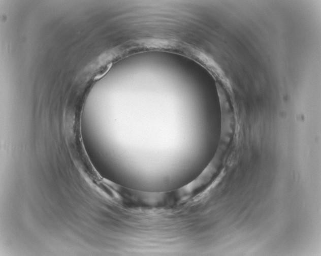 X0000087510201200705111950