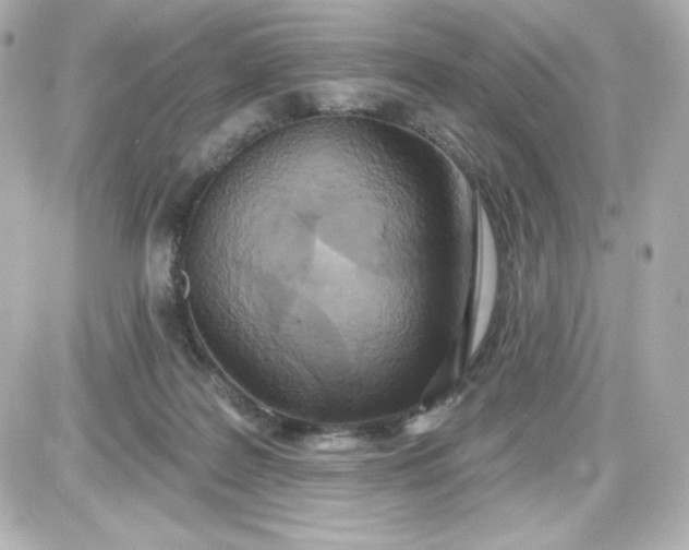 X0000087510219200705111949