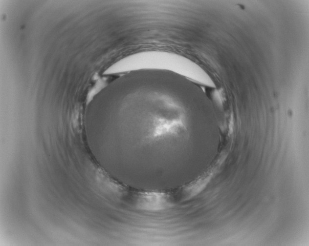 X0000087510233200705111949