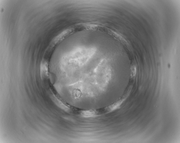 X0000087510238200705111949