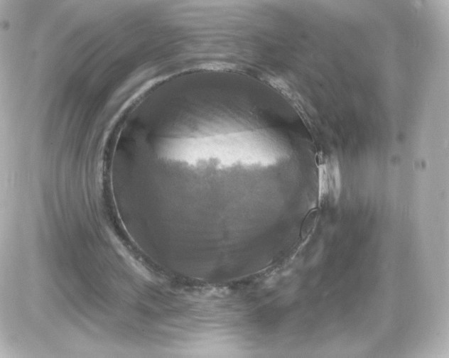 X0000087510243200705111948