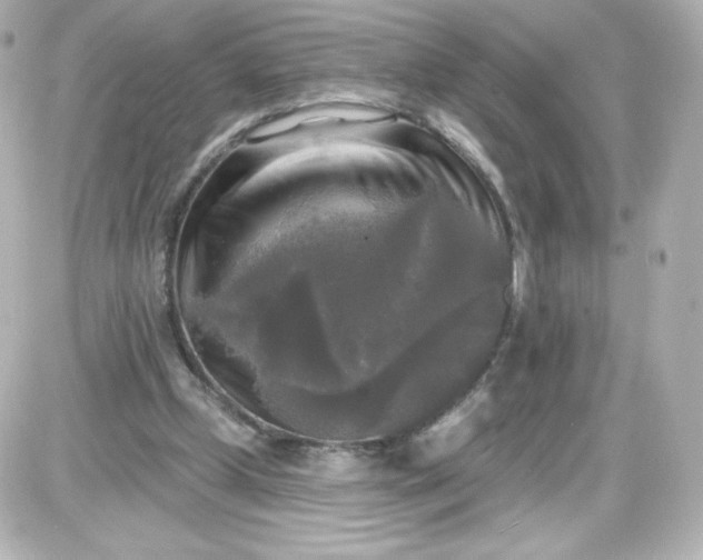 X0000087510249200705111948