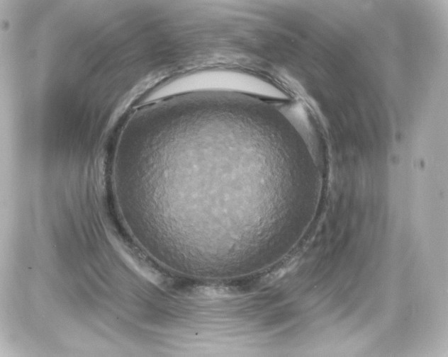 X0000087510250200705111948