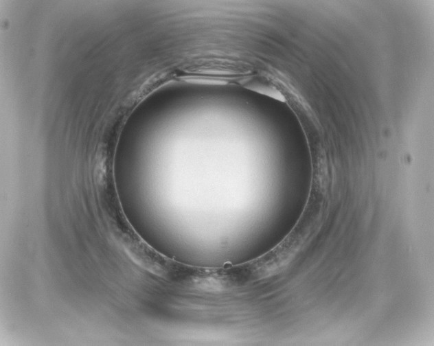 X0000087510259200705111948