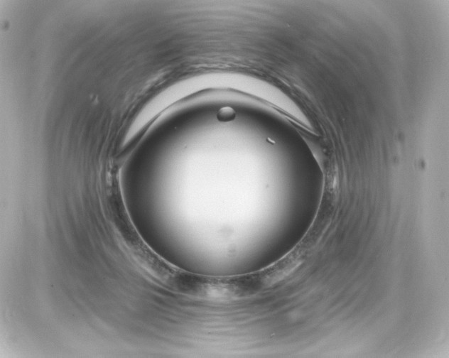 X0000087510264200705111948