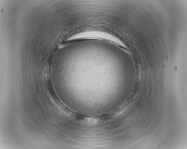 X0000087510272200705111949