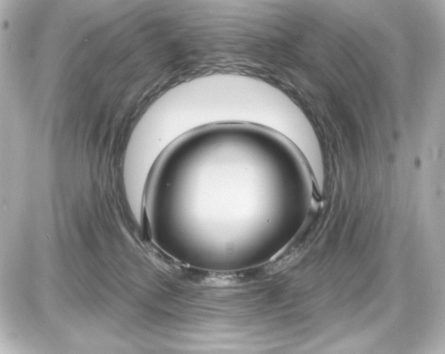 X0000087510280200705111949