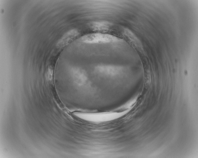 X0000087510281200705111949