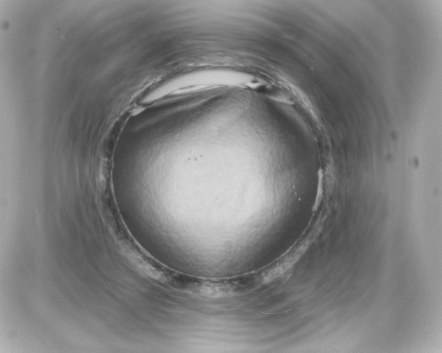 X0000087510305200705111948