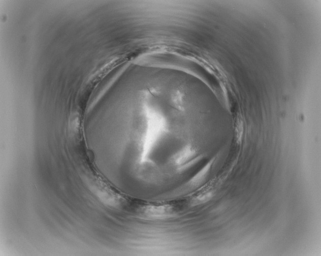 X0000087510314200705111948
