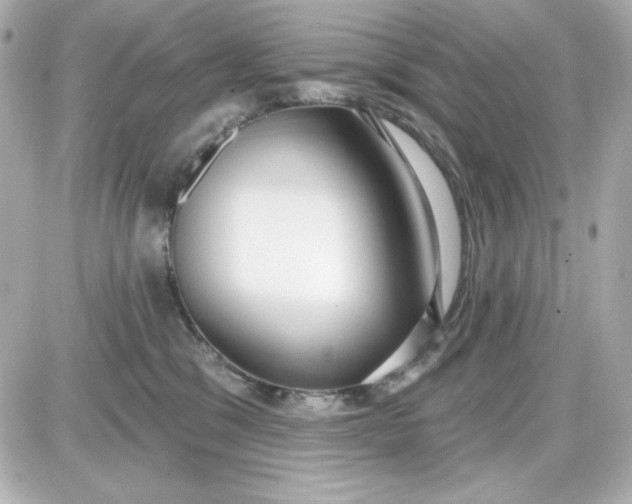 X0000087510329200705111947