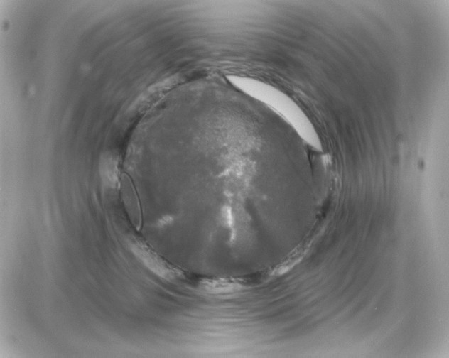 X0000087510331200705111947