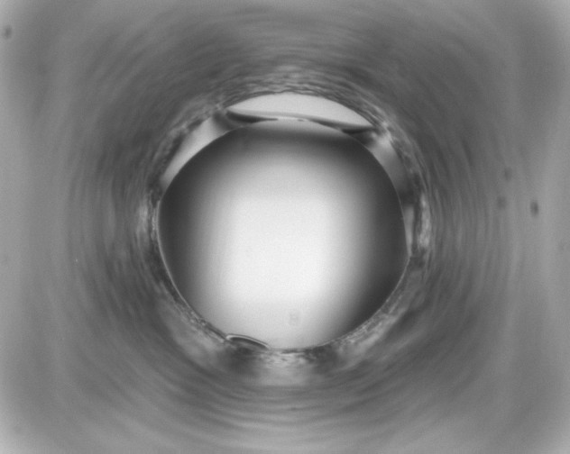 X0000087510333200705111947