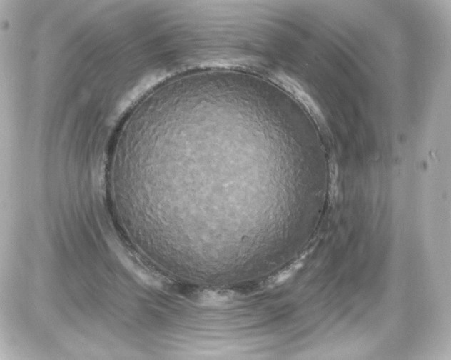 X0000087510346200705111947