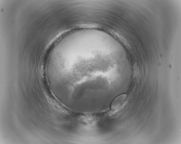 X0000087510351200705111947