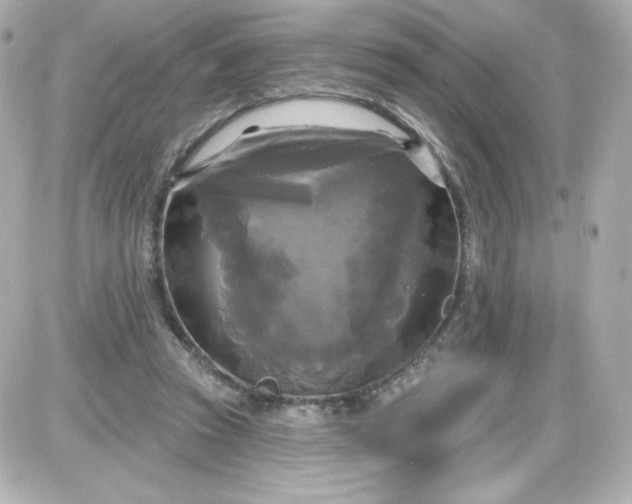 X0000087510353200705111947