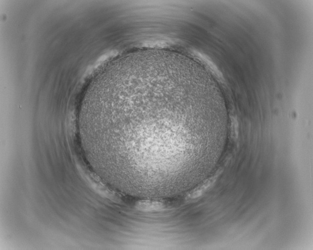 X0000087510354200705111947