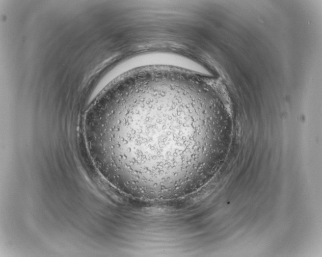 X0000087510356200705111947