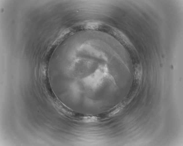 X0000087510363200705111947