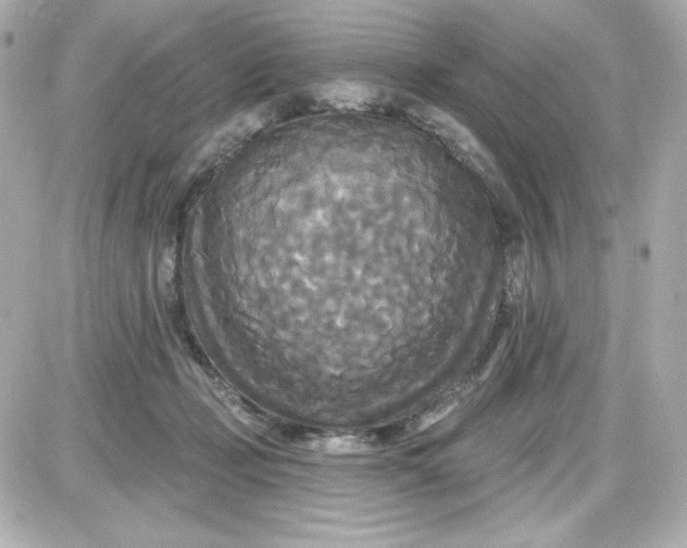 X0000087510365200705111947