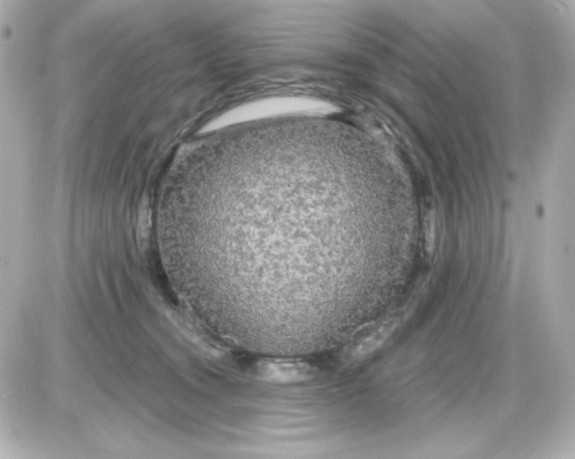 X0000087510372200705111947