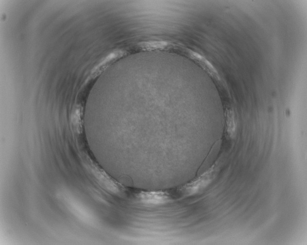X0000087510378200705111947