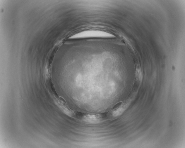 X0000087510381200705111947
