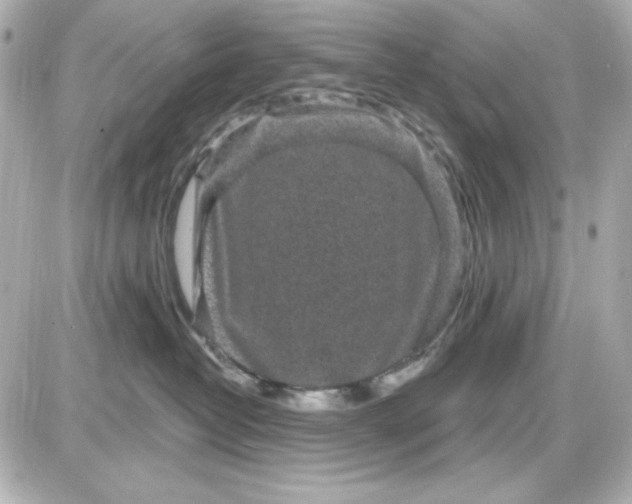 X0000087510382200705111947