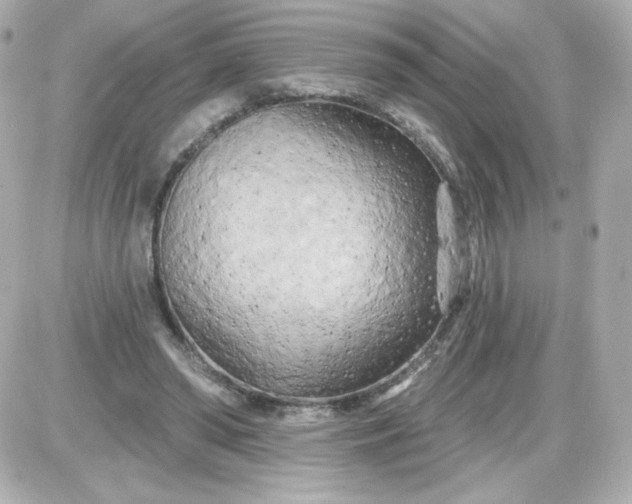 X0000087510398200705111946