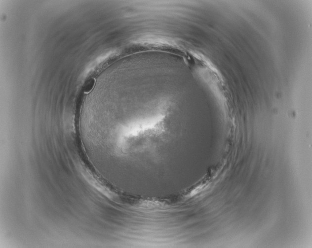 X0000087510399200705111946