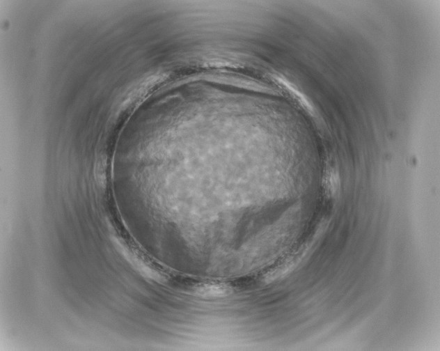 X0000087510402200705111946