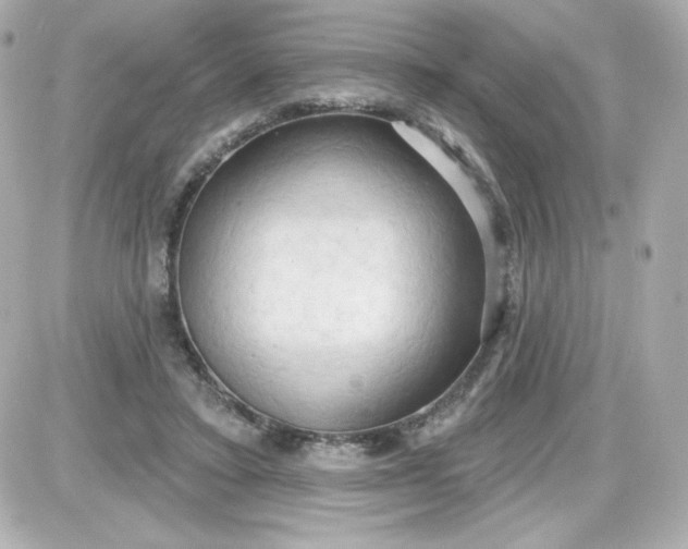 X0000087510403200705111946