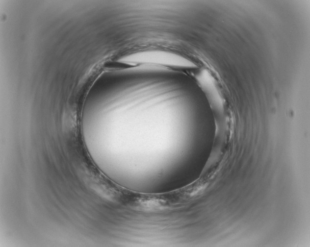 X0000087510407200705111946
