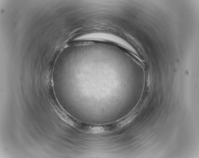 X0000087510409200705111946