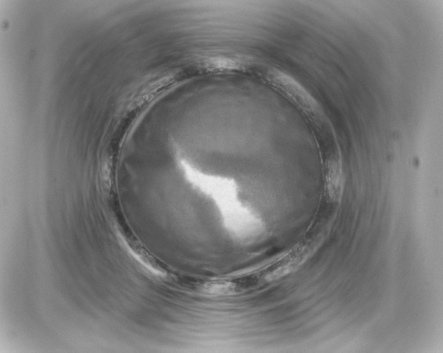 X0000087510410200705111946