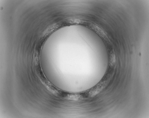 X0000087510414200705111946