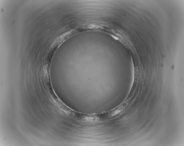 X0000087510415200705111946