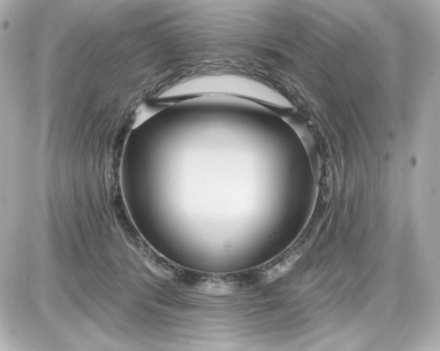 X0000087510416200705111946