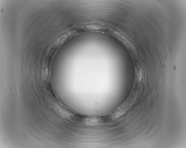 X0000087510418200705111946