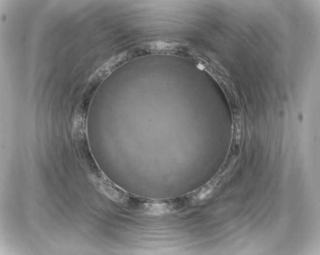 X0000087510419200705111946