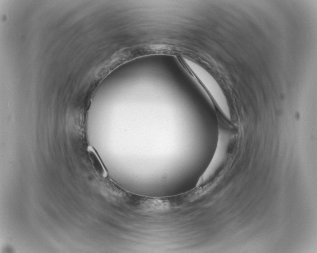 X0000087510421200705111946