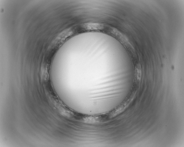 X0000087510422200705111946