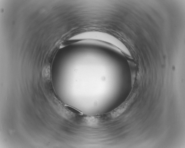 X0000087510425200705111946