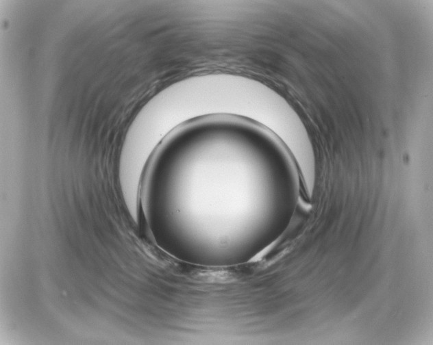 X0000087510428200705111946