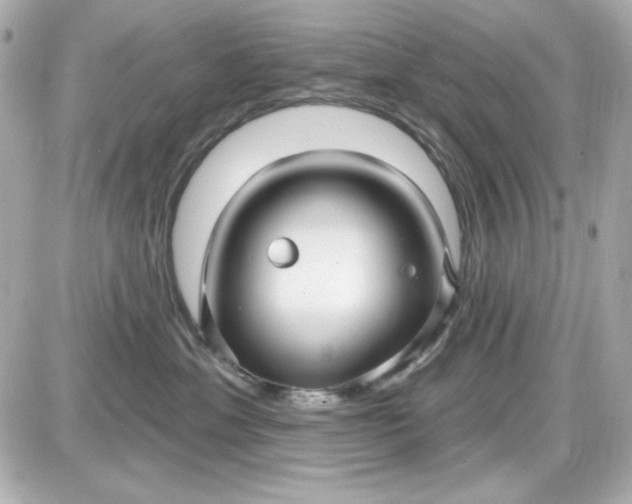 X0000087510429200705111946