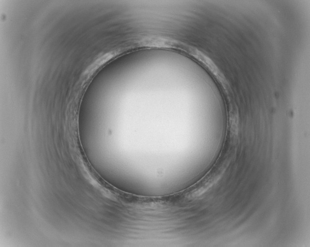 X0000087510433200705111945
