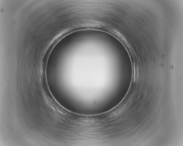 X0000087510435200705111945