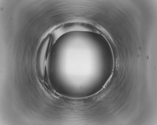 X0000087510436200705111945